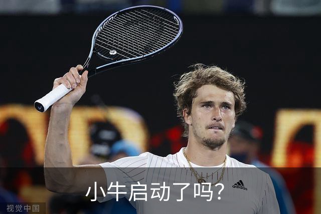 小牛启动了吗？